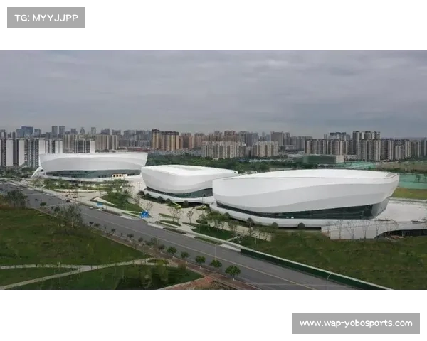 体育场馆多功能运用与大型赛事活动协同管理